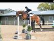 Equestrian Jobseeker Profile Photo