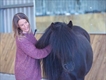 Equestrian Jobseeker Profile Photo
