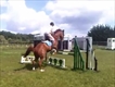 Equestrian Jobseeker Profile Photo