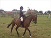 Equestrian Jobseeker Profile Photo