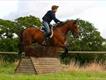 Equestrian Jobseeker Profile Photo