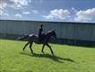 Equestrian Jobseeker Profile Photo