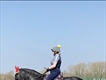 Equestrian Jobseeker Profile Photo