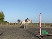 Equestrian Jobseeker Profile Photo