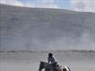 Equestrian Jobseeker Profile Photo