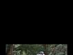Equestrian Jobseeker Profile Photo