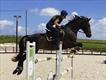 Equestrian Jobseeker Profile Photo