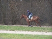 Equestrian Jobseeker Profile Photo