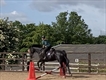 Equestrian Jobseeker Profile Photo