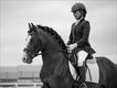 Equestrian Jobseeker Profile Photo