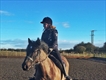 Equestrian Jobseeker Profile Photo
