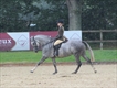 Equestrian Jobseeker Profile Photo