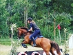 Equestrian Jobseeker Profile Photo