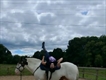 Equestrian Jobseeker Profile Photo