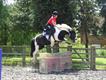 Equestrian Jobseeker Profile Photo