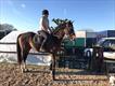 Equestrian Jobseeker Profile Photo