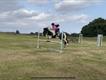 Equestrian Jobseeker Profile Photo