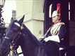 Equestrian Jobseeker Profile Photo