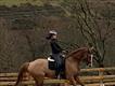 Equestrian Jobseeker Profile Photo