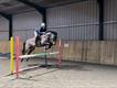 Equestrian Jobseeker Profile Photo