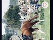 Equestrian Jobseeker Profile Photo