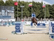 Equestrian Employer Profile Photo