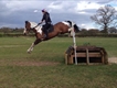 Equestrian Jobseeker Profile Photo