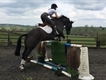 Equestrian Jobseeker Profile Photo