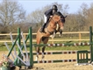 Equestrian Jobseeker Profile Photo