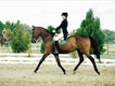 Equestrian Jobseeker Profile Photo