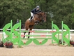 Equestrian Jobseeker Profile Photo