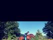 Equestrian Jobseeker Profile Photo