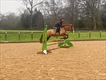 Equestrian Jobseeker Profile Photo