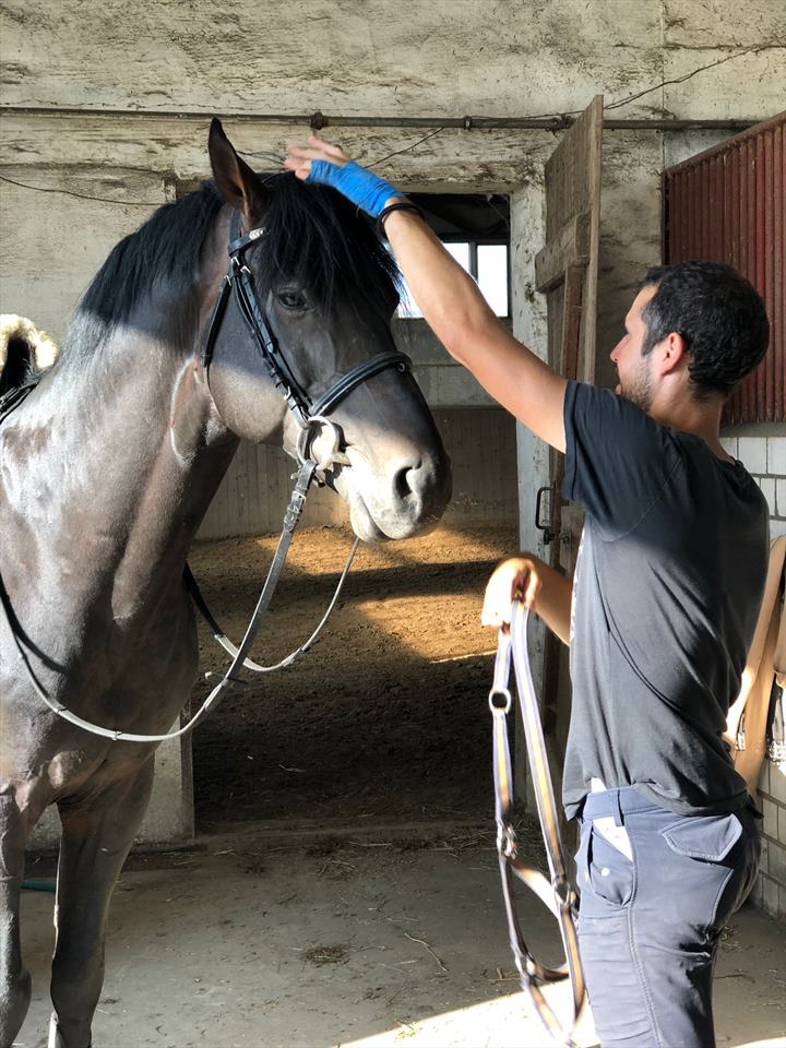 Equestrian Jobseeker Photo: