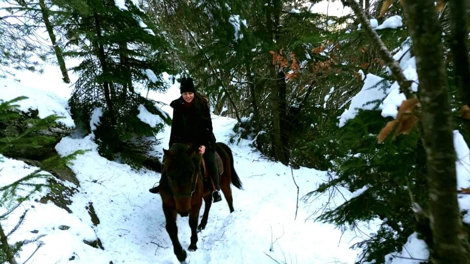 Equestrian Jobseeker Photo: