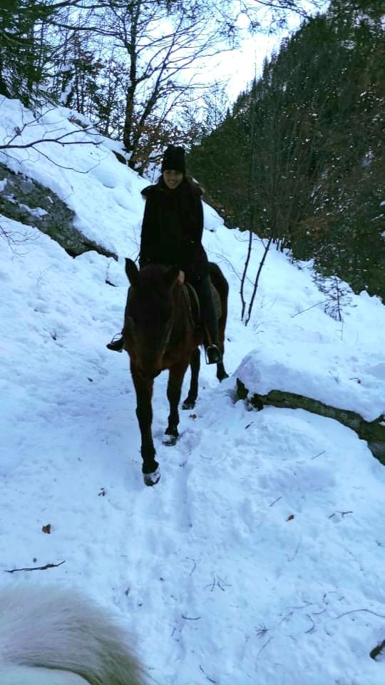 Equestrian Jobseeker Photo: