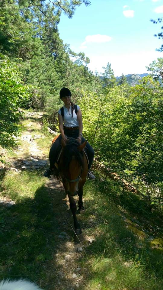 Equestrian Jobseeker Photo: