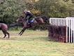 Equestrian Jobseeker Profile Photo