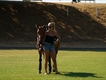 Equestrian Jobseeker Profile Photo