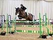 Equestrian Employer Profile Photo