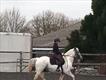Equestrian Jobseeker Profile Photo