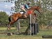 Equestrian Jobseeker Profile Photo