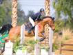 Equestrian Jobseeker Profile Photo