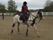 Equestrian Jobseeker Profile Photo