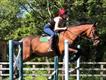 Equestrian Jobseeker Profile Photo