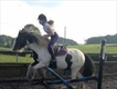 Equestrian Jobseeker Profile Photo