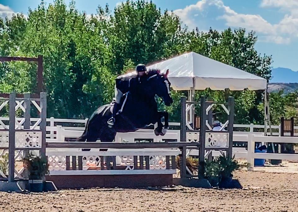 Equestrian Jobseeker Photo: