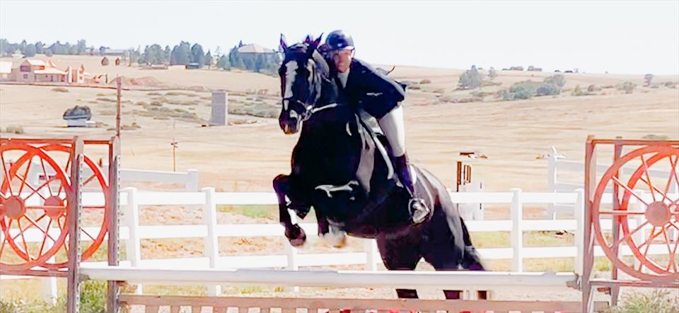 Equestrian Jobseeker Photo: