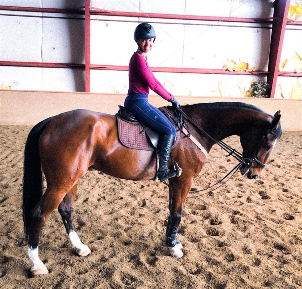 Equestrian Jobseeker Photo: