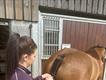 Equestrian Jobseeker Profile Photo